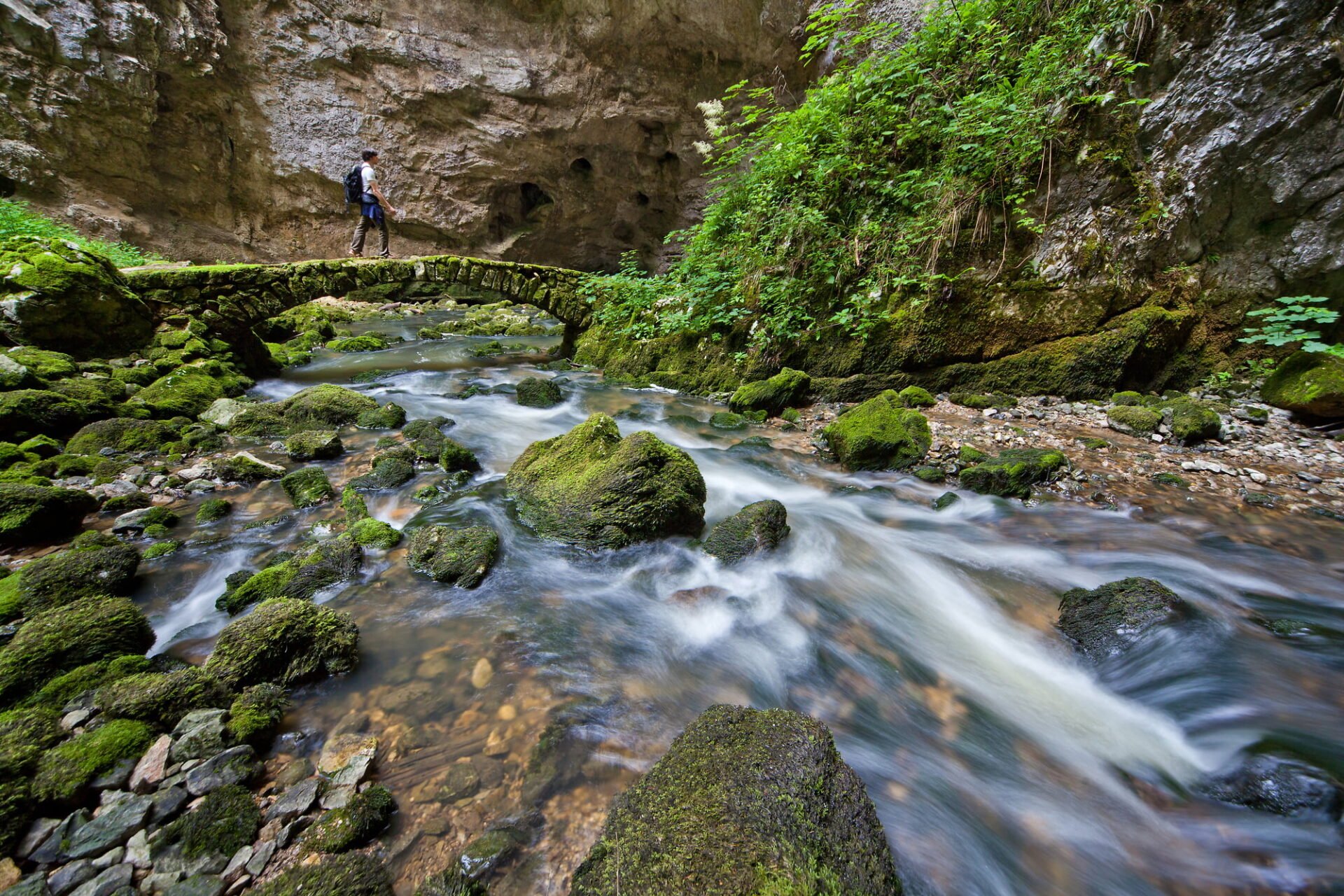 Rakov Škocjan caves