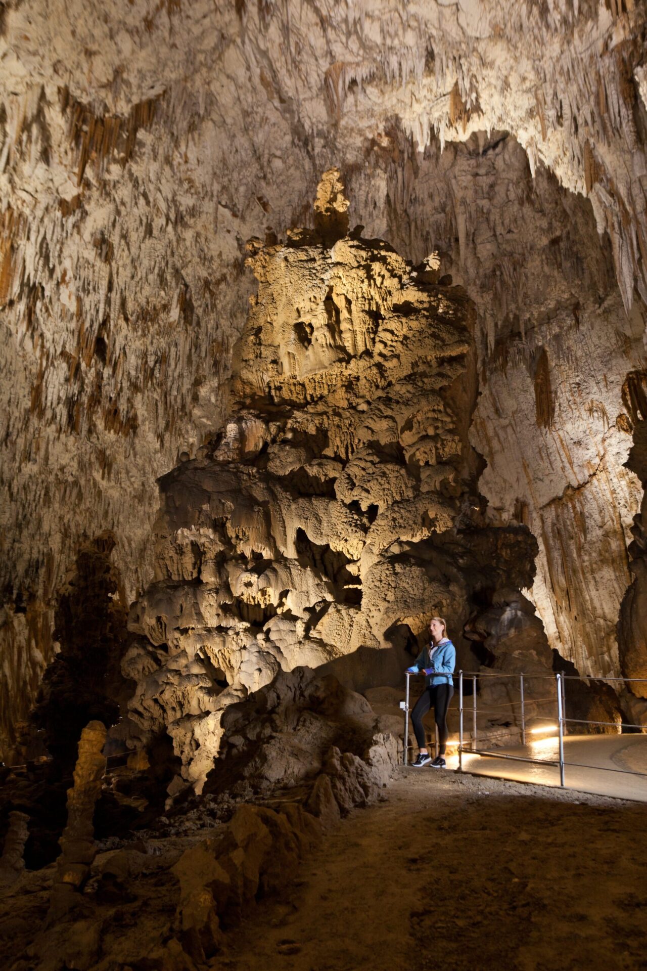 postojna cave family