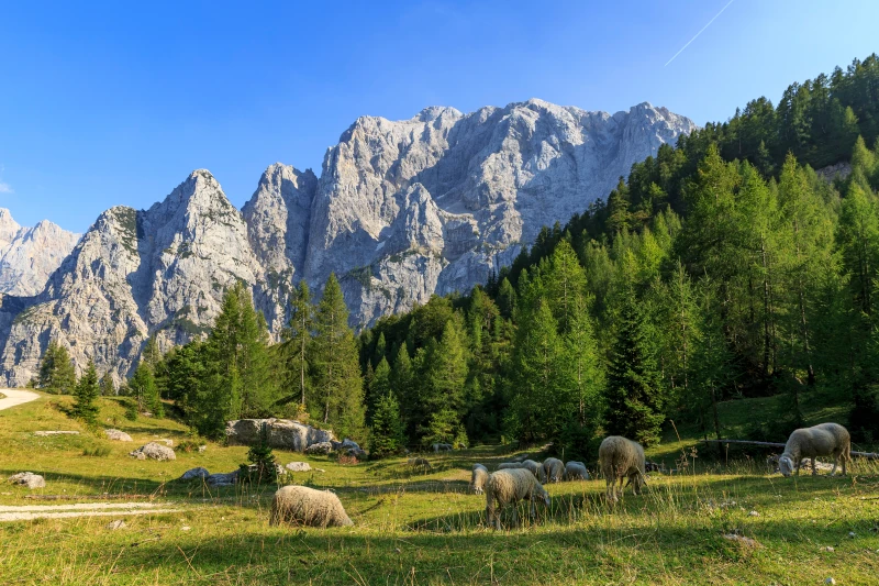 Explore the Soča River