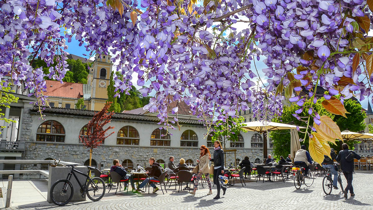 Ljubljana old town