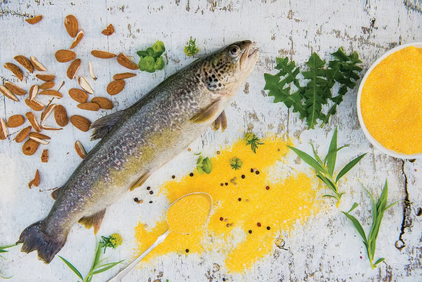 Fresh Soča Trout