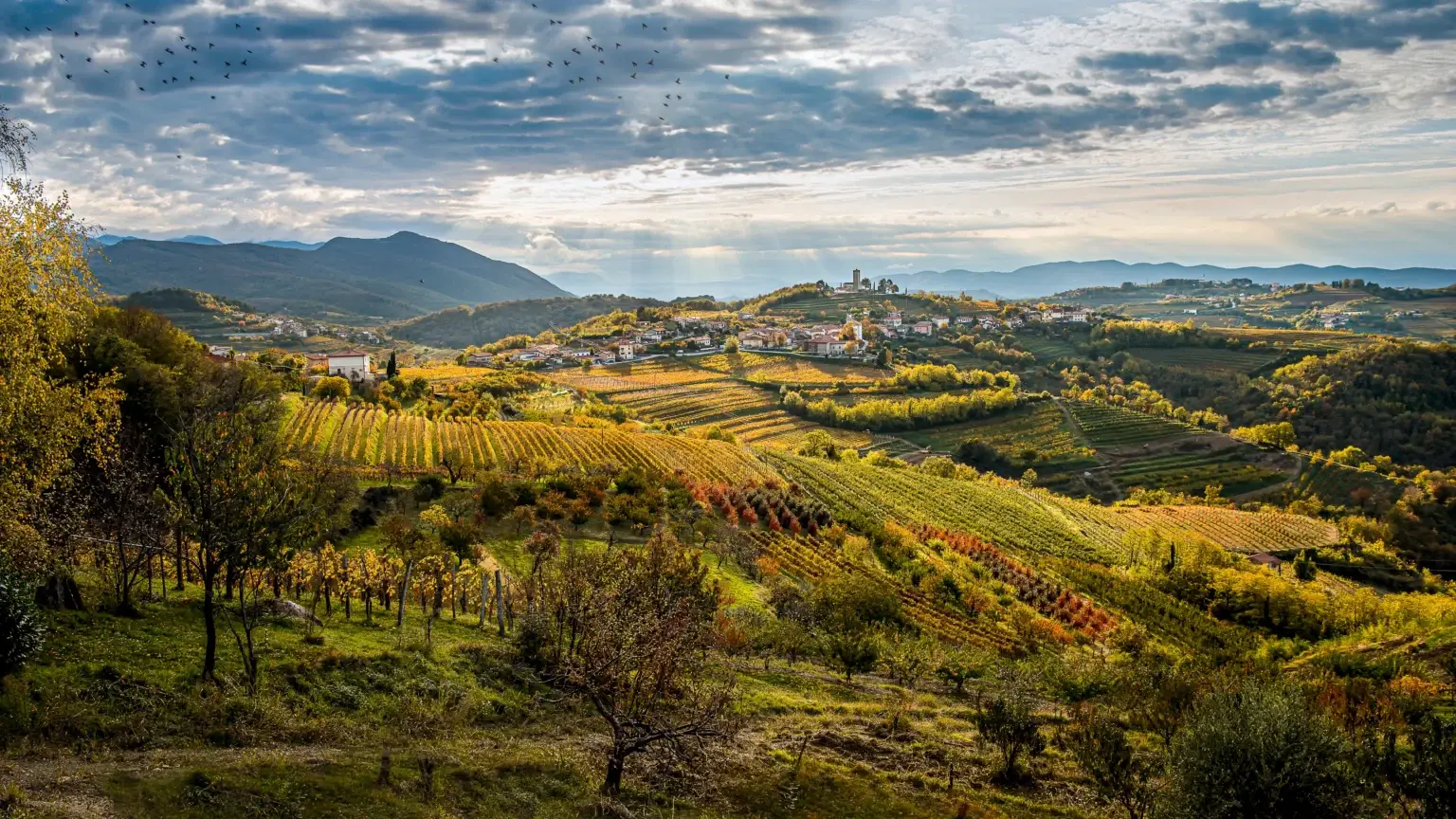 Best Areas to Stay in Goriška Brda