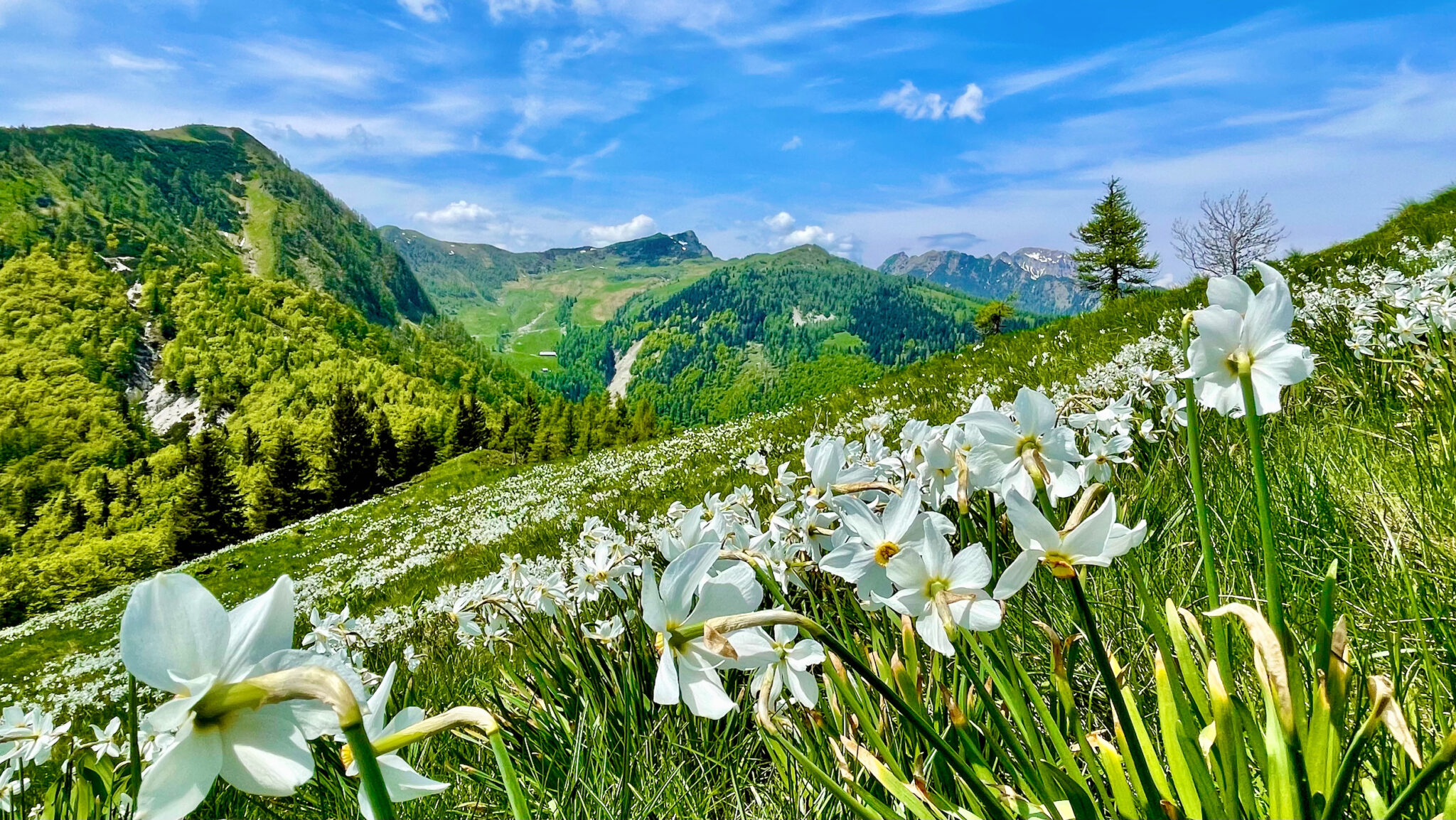 Lake Bled Slovenia