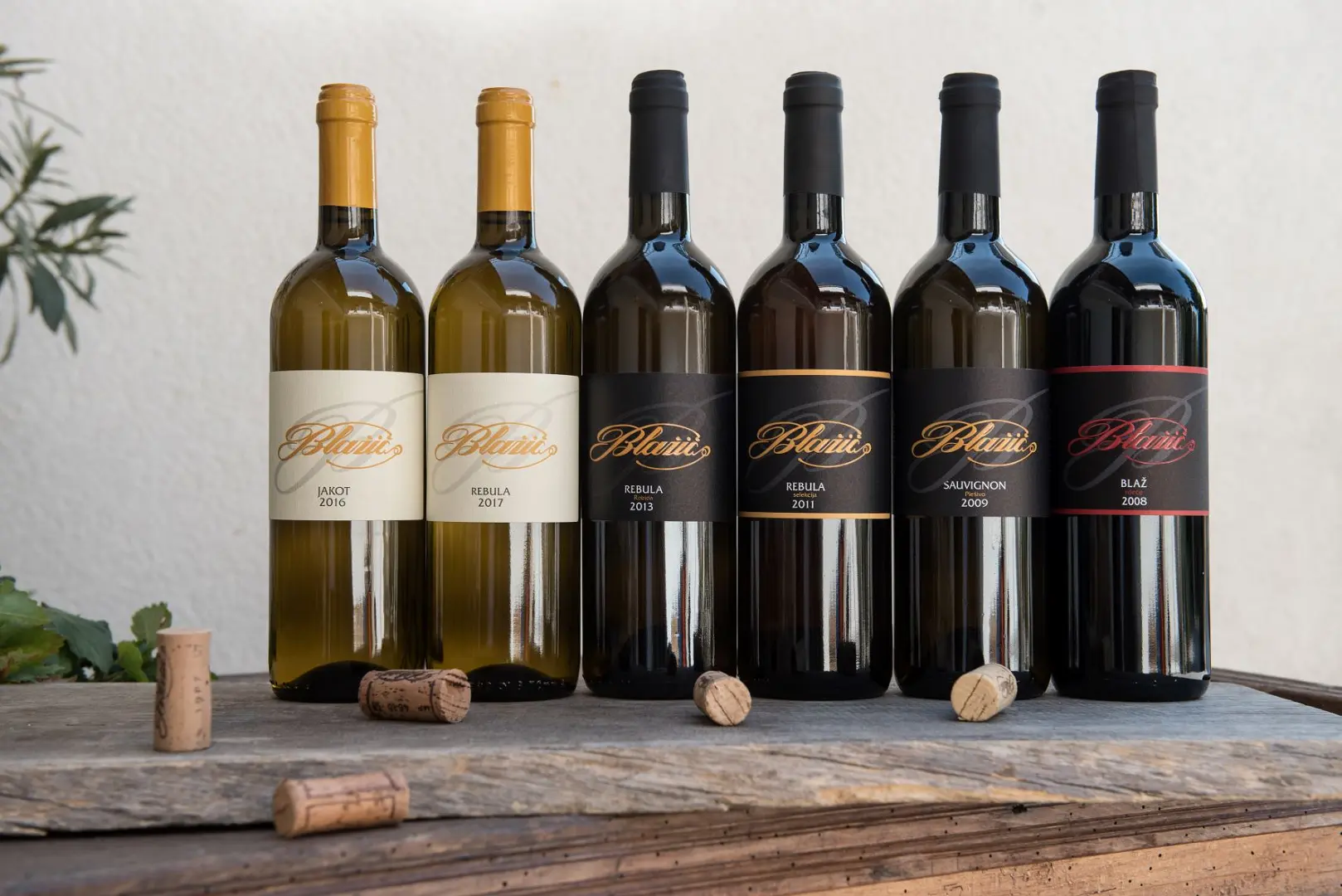 Blažič Winery