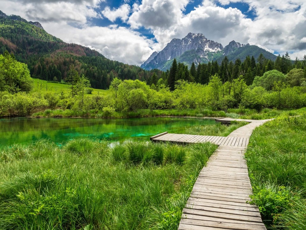 Explore Zelenci Nature Reserve