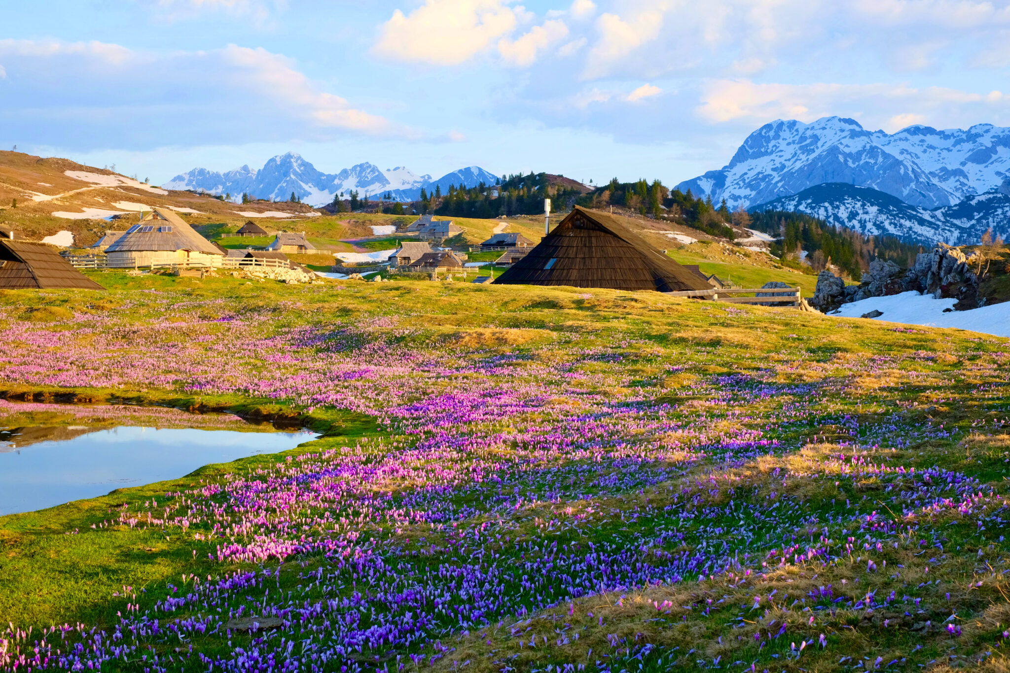 Go Hiking Across the Plateau