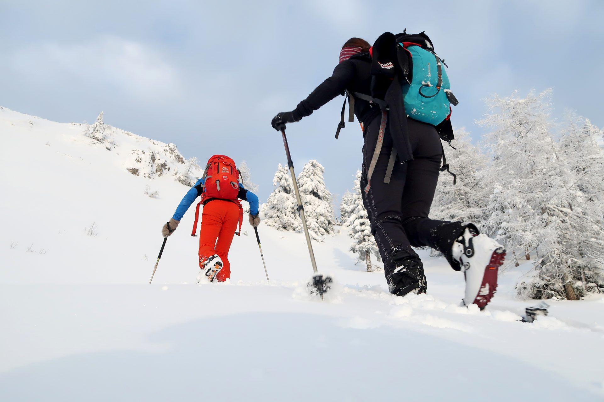 Winter Walking