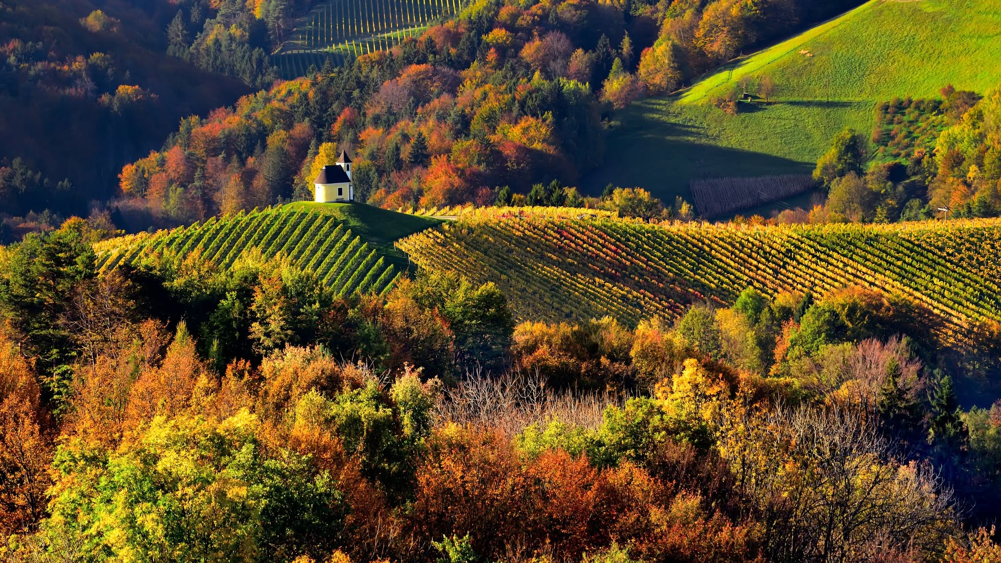 Jeruzalem and the Ljutomer-Ormož Wine Hills