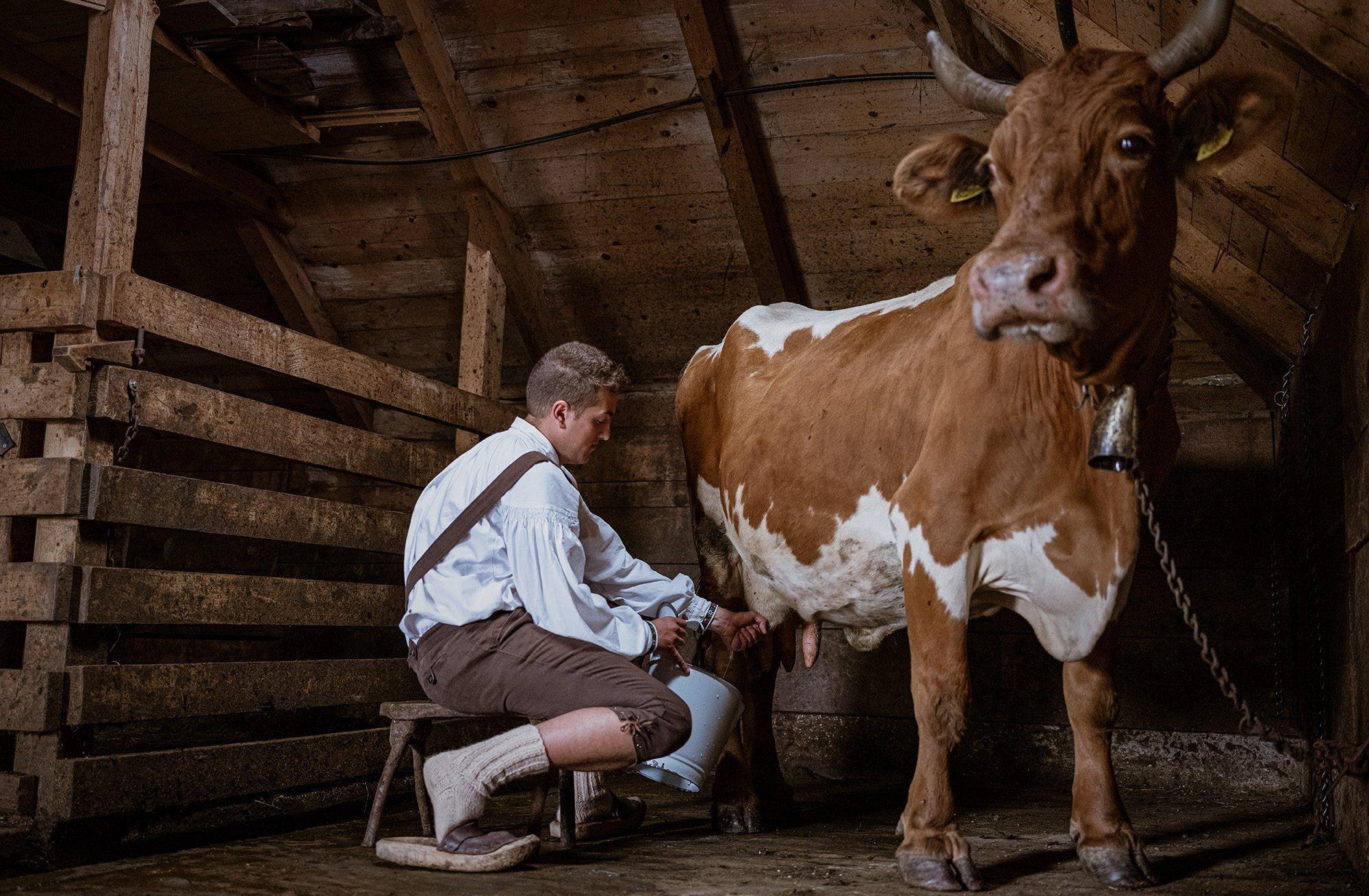 Taste Traditional Sour Milk and Local Dairy Products