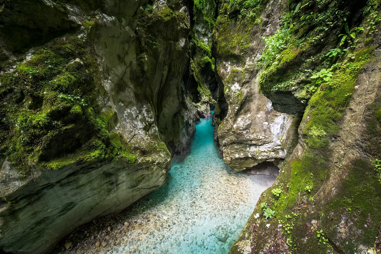 Walk Through Tolmin Gorges