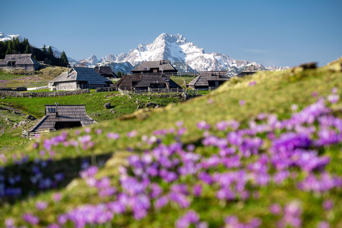 Velika Planina for Photographers