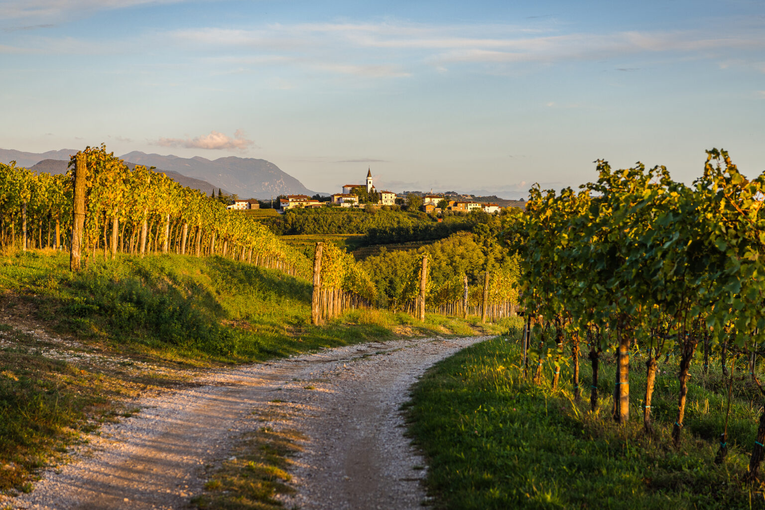 Walk Between Villages and Viewpoints