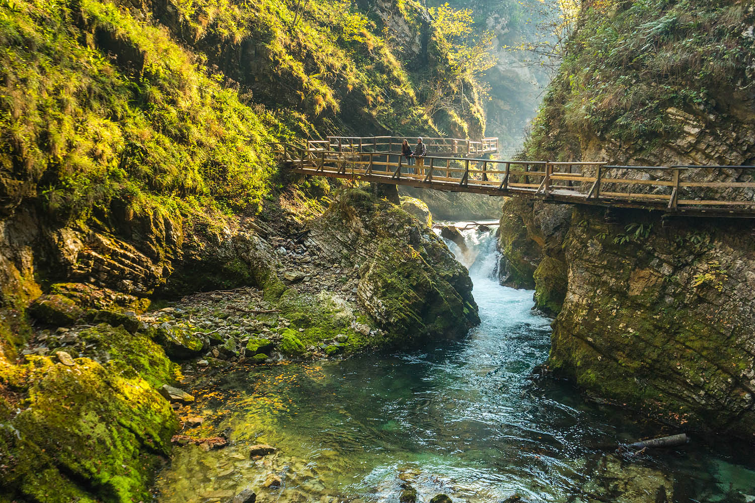 Walk Through Vintgar Gorge