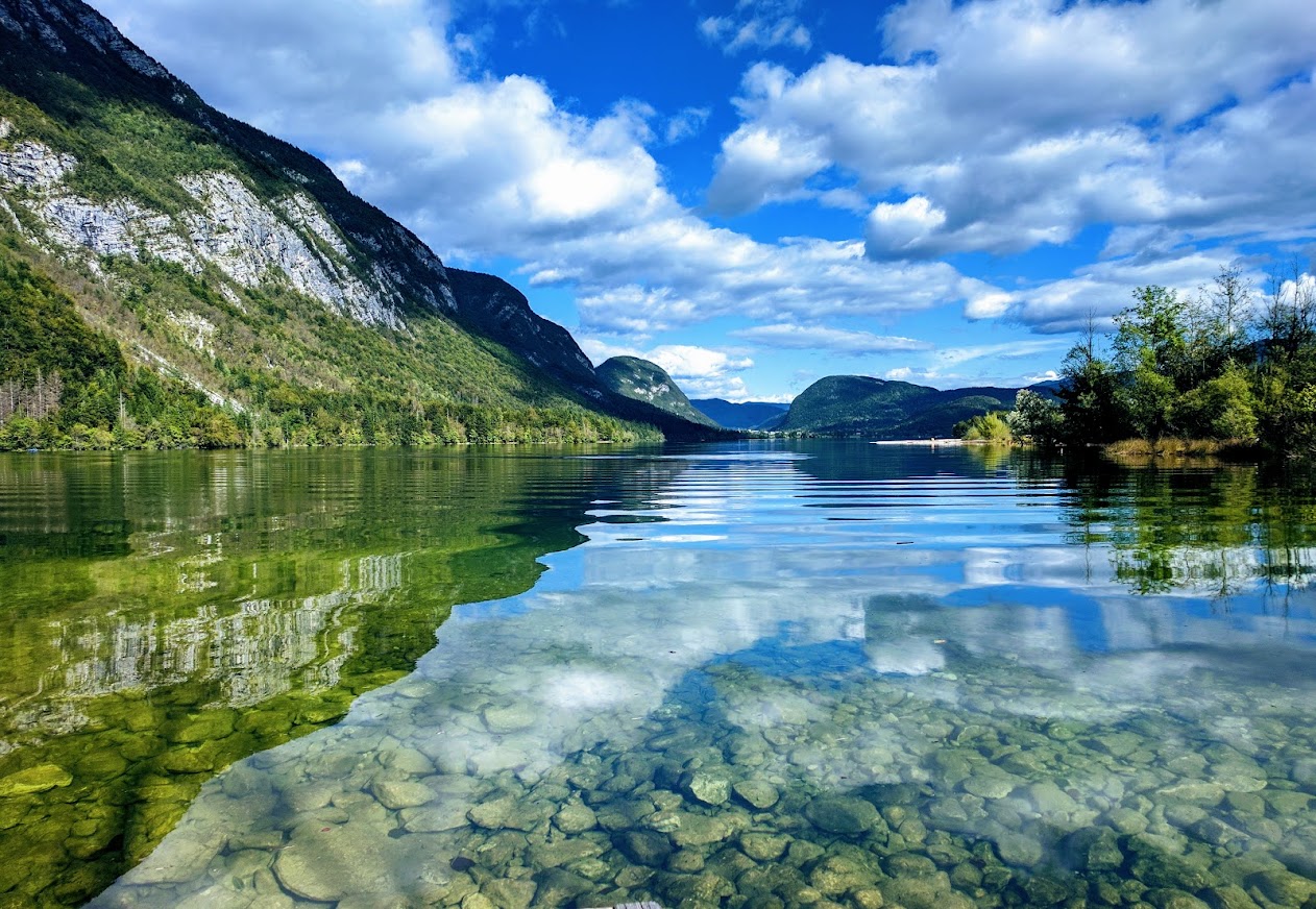 Swim in Lake Bohinj