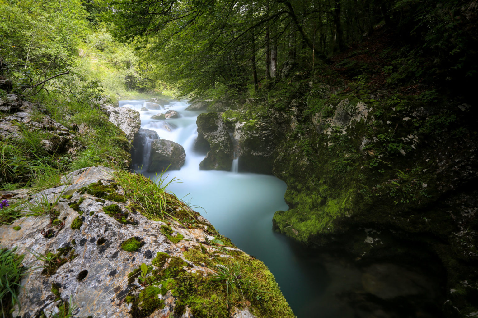 Mostnica Gorge